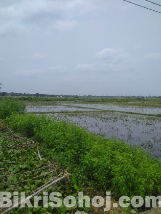 102 শতক ভেজাল মুক্ত জমি বিক্রয় হবে।